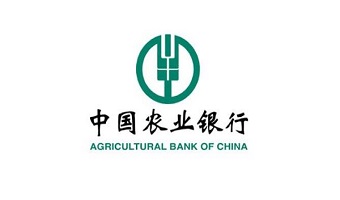 中国农业银行平台实施