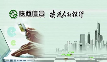 陕西信合平台定制实施